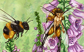 Bumblebees and Folksglove